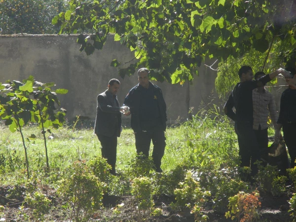 طرح جهادی نظافت در محیط دانشگاه