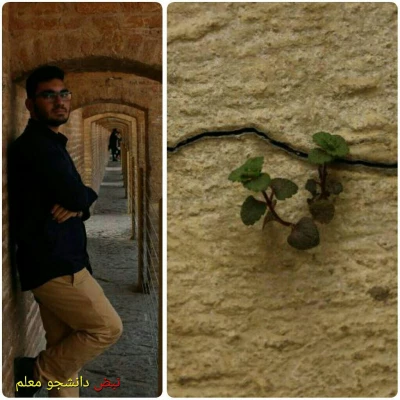 درخشش دو دانشجو معلم مازندرانی در  بیست و نهمین جشنواره فرهنگی و اجتماعی دانشجو معلمان دانشگاه فرهنگیان سراسر کشور  3