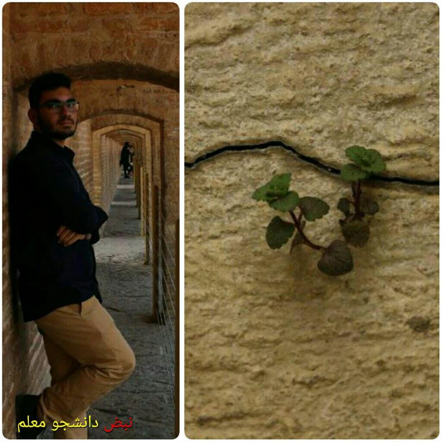 درخشش دو دانشجو معلم مازندرانی در  بیست و نهمین جشنواره فرهنگی و اجتماعی دانشجو معلمان دانشگاه فرهنگیان سراسر کشور  3