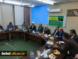 دوره بالندگی اخلاق کاربردی تعلیم و تربیت(گونه های معلمی)  5