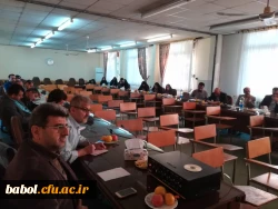 دوره بالندگی اخلاق کاربردی تعلیم و تربیت(گونه های معلمی)  8