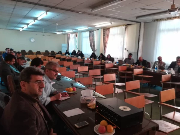 دوره بالندگی اخلاق کاربردی تعلیم و تربیت(گونه های معلمی)  8