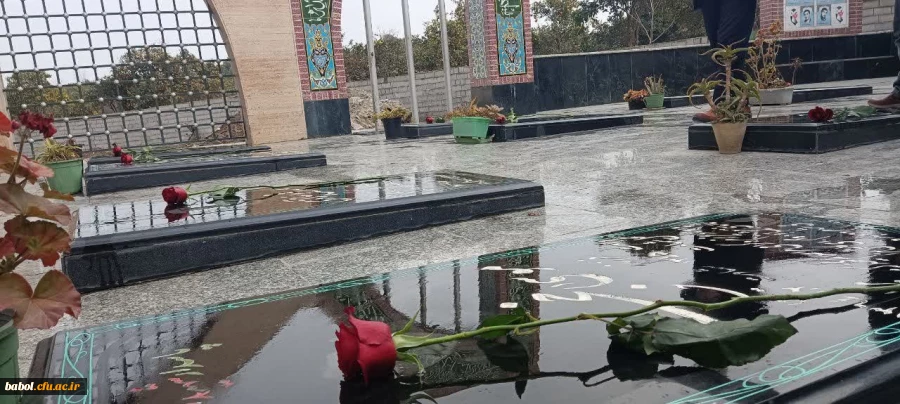 به مناسبت ایام الله دهه فجر  2