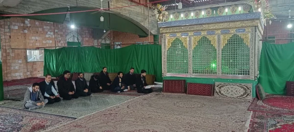 به مناسبت ایام الله دهه فجر  4